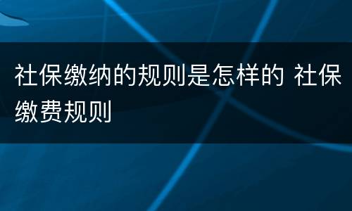 社保缴纳的规则是怎样的 社保缴费规则
