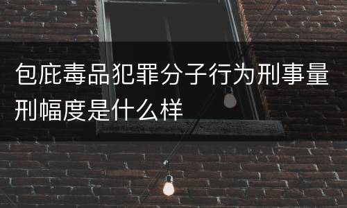 包庇毒品犯罪分子行为刑事量刑幅度是什么样