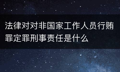 法律对对非国家工作人员行贿罪定罪刑事责任是什么