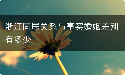 浙江同居关系与事实婚姻差别有多少