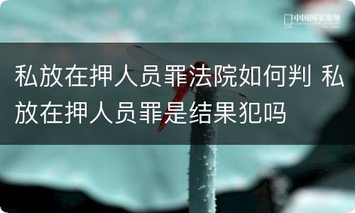 私放在押人员罪法院如何判 私放在押人员罪是结果犯吗