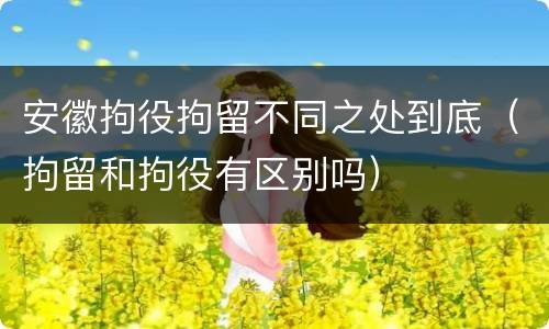 安徽拘役拘留不同之处到底（拘留和拘役有区别吗）