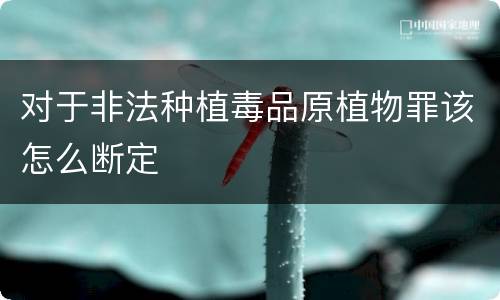 对于非法种植毒品原植物罪该怎么断定