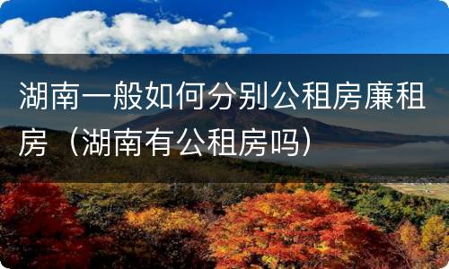 湖南一般如何分别公租房廉租房（湖南有公租房吗）
