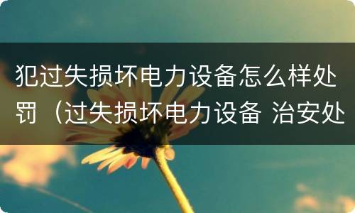 犯过失损坏电力设备怎么样处罚（过失损坏电力设备 治安处罚）