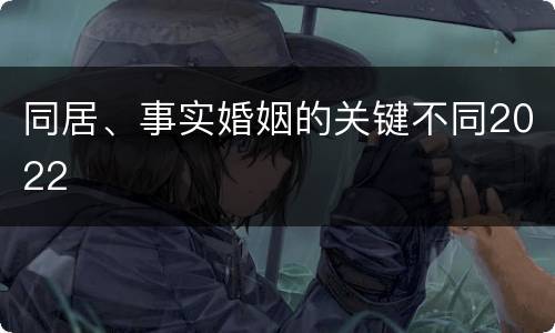 同居、事实婚姻的关键不同2022