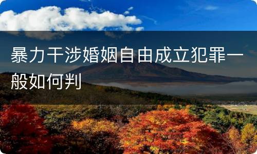 暴力干涉婚姻自由成立犯罪一般如何判