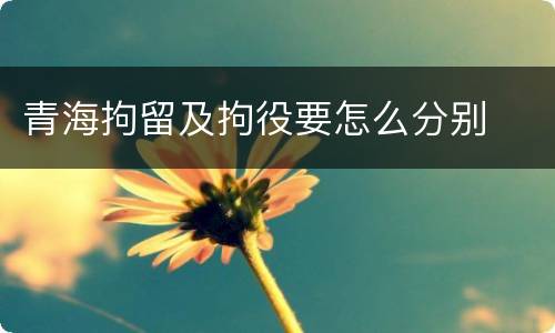 青海拘留及拘役要怎么分别