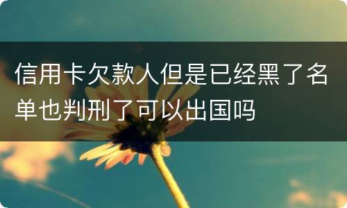 信用卡欠款人但是已经黑了名单也判刑了可以出国吗