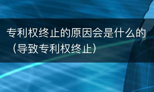 专利权终止的原因会是什么的（导致专利权终止）