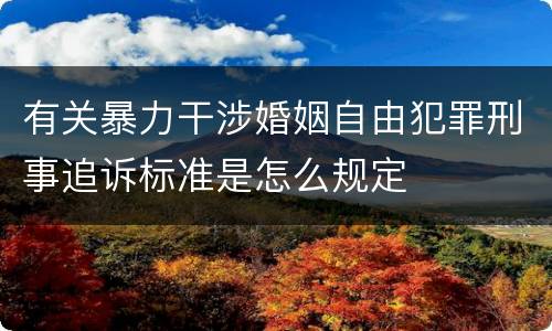 有关暴力干涉婚姻自由犯罪刑事追诉标准是怎么规定