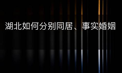 湖北如何分别同居、事实婚姻