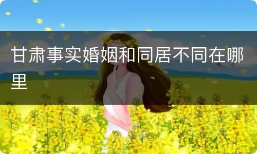 甘肃事实婚姻和同居不同在哪里