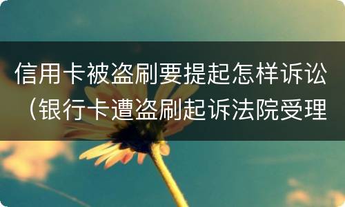信用卡被盗刷要提起怎样诉讼（银行卡遭盗刷起诉法院受理吗）