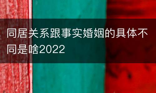 同居关系跟事实婚姻的具体不同是啥2022