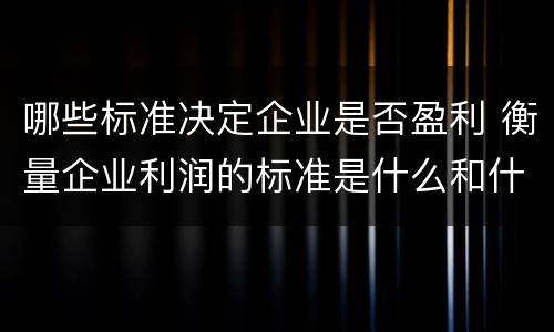 哪些标准决定企业是否盈利 衡量企业利润的标准是什么和什么