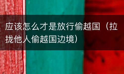 应该怎么才是放行偷越国（拉拢他人偷越国边境）