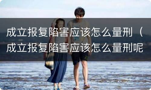 成立报复陷害应该怎么量刑（成立报复陷害应该怎么量刑呢）