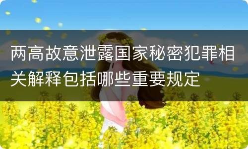两高故意泄露国家秘密犯罪相关解释包括哪些重要规定