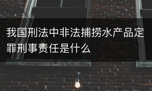 我国刑法中非法捕捞水产品定罪刑事责任是什么