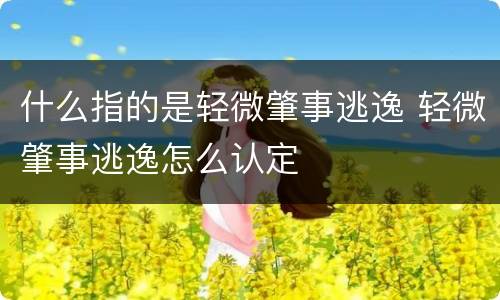 什么指的是轻微肇事逃逸 轻微肇事逃逸怎么认定