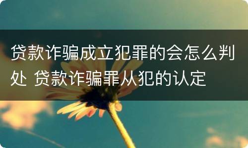 贷款诈骗成立犯罪的会怎么判处 贷款诈骗罪从犯的认定