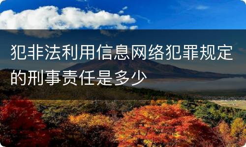 犯非法利用信息网络犯罪规定的刑事责任是多少
