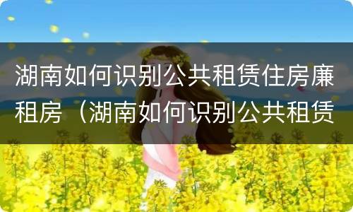 湖南如何识别公共租赁住房廉租房（湖南如何识别公共租赁住房廉租房的真假）