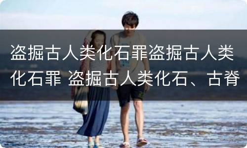 盗掘古人类化石罪盗掘古人类化石罪 盗掘古人类化石、古脊椎动物化石罪