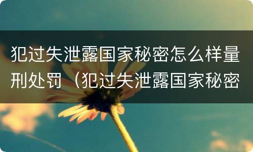 犯过失泄露国家秘密怎么样量刑处罚（犯过失泄露国家秘密怎么样量刑处罚依据）