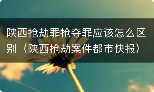 陕西抢劫罪抢夺罪应该怎么区别（陕西抢劫案件都市快报）