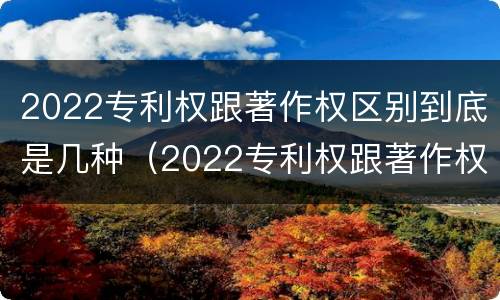 2022专利权跟著作权区别到底是几种（2022专利权跟著作权区别到底是几种类型）