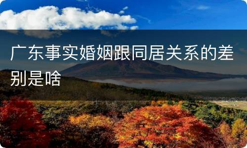 广东事实婚姻跟同居关系的差别是啥