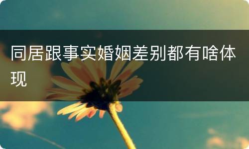 同居跟事实婚姻差别都有啥体现