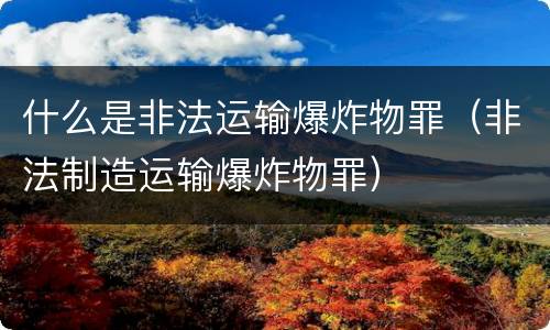 什么是非法运输爆炸物罪（非法制造运输爆炸物罪）