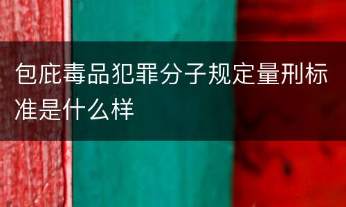包庇毒品犯罪分子规定量刑标准是什么样