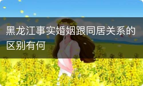 黑龙江事实婚姻跟同居关系的区别有何
