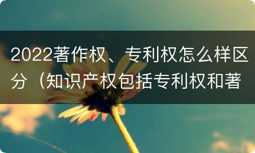 2022著作权、专利权怎么样区分（知识产权包括专利权和著作权吗）