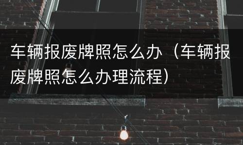 车辆报废牌照怎么办（车辆报废牌照怎么办理流程）