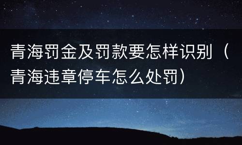 青海罚金及罚款要怎样识别（青海违章停车怎么处罚）