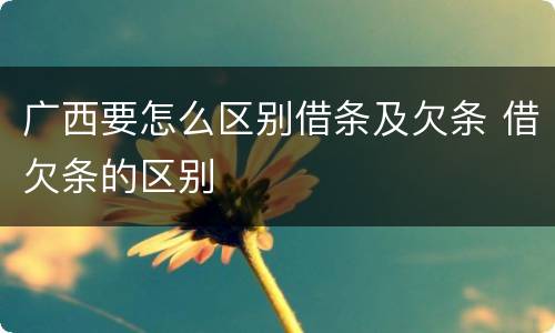广西要怎么区别借条及欠条 借欠条的区别