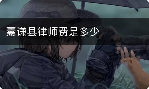 囊谦县律师费是多少