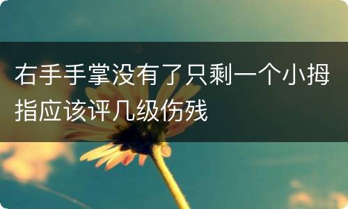 右手手掌没有了只剩一个小拇指应该评几级伤残