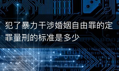 犯了暴力干涉婚姻自由罪的定罪量刑的标准是多少
