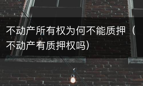 不动产所有权为何不能质押（不动产有质押权吗）
