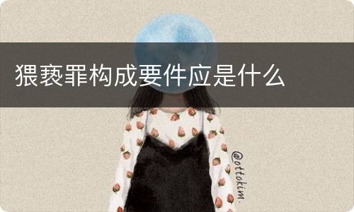 猥亵罪构成要件应是什么
