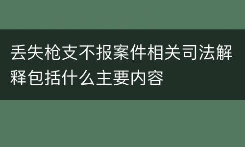 丢失枪支不报案件相关司法解释包括什么主要内容