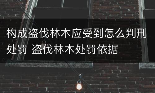 构成盗伐林木应受到怎么判刑处罚 盗伐林木处罚依据