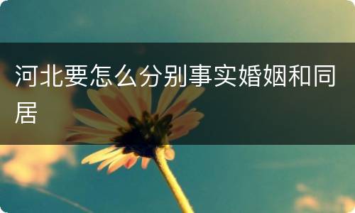 河北要怎么分别事实婚姻和同居
