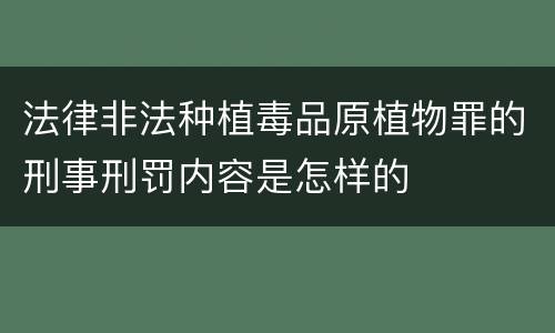 法律非法种植毒品原植物罪的刑事刑罚内容是怎样的